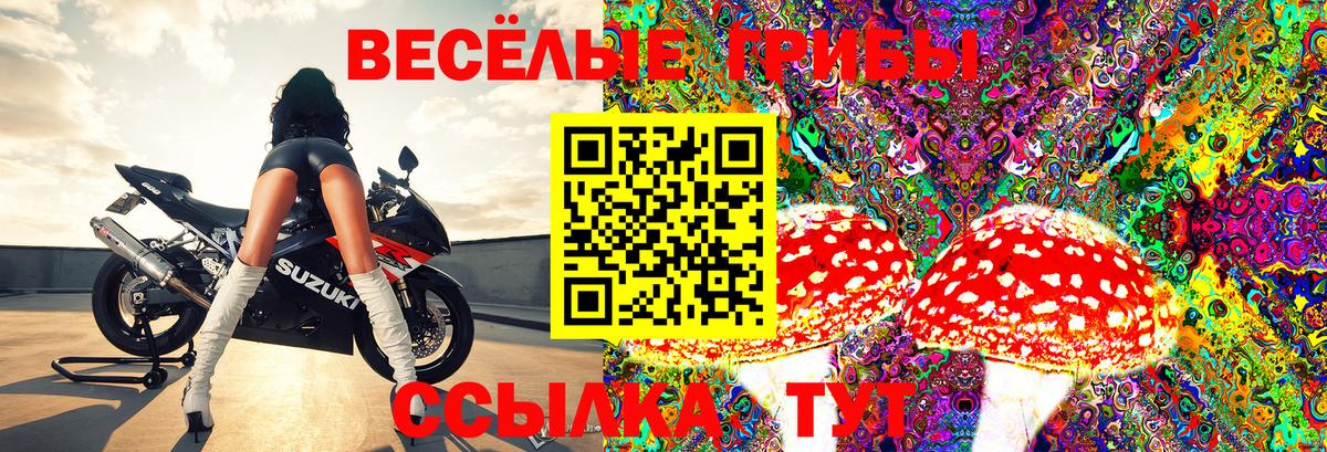 Галлюциногенные грибы Psilocybine cubensis Донецк
